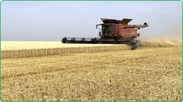 Ferma Agricola 1800 Ha de vanzare